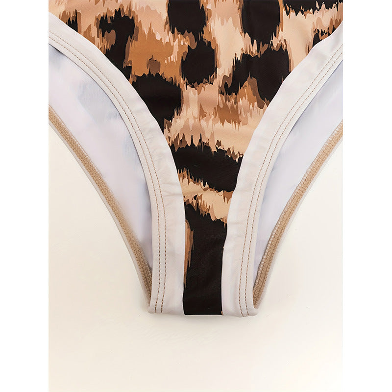 Leopard Print One-Piece Swimsuit