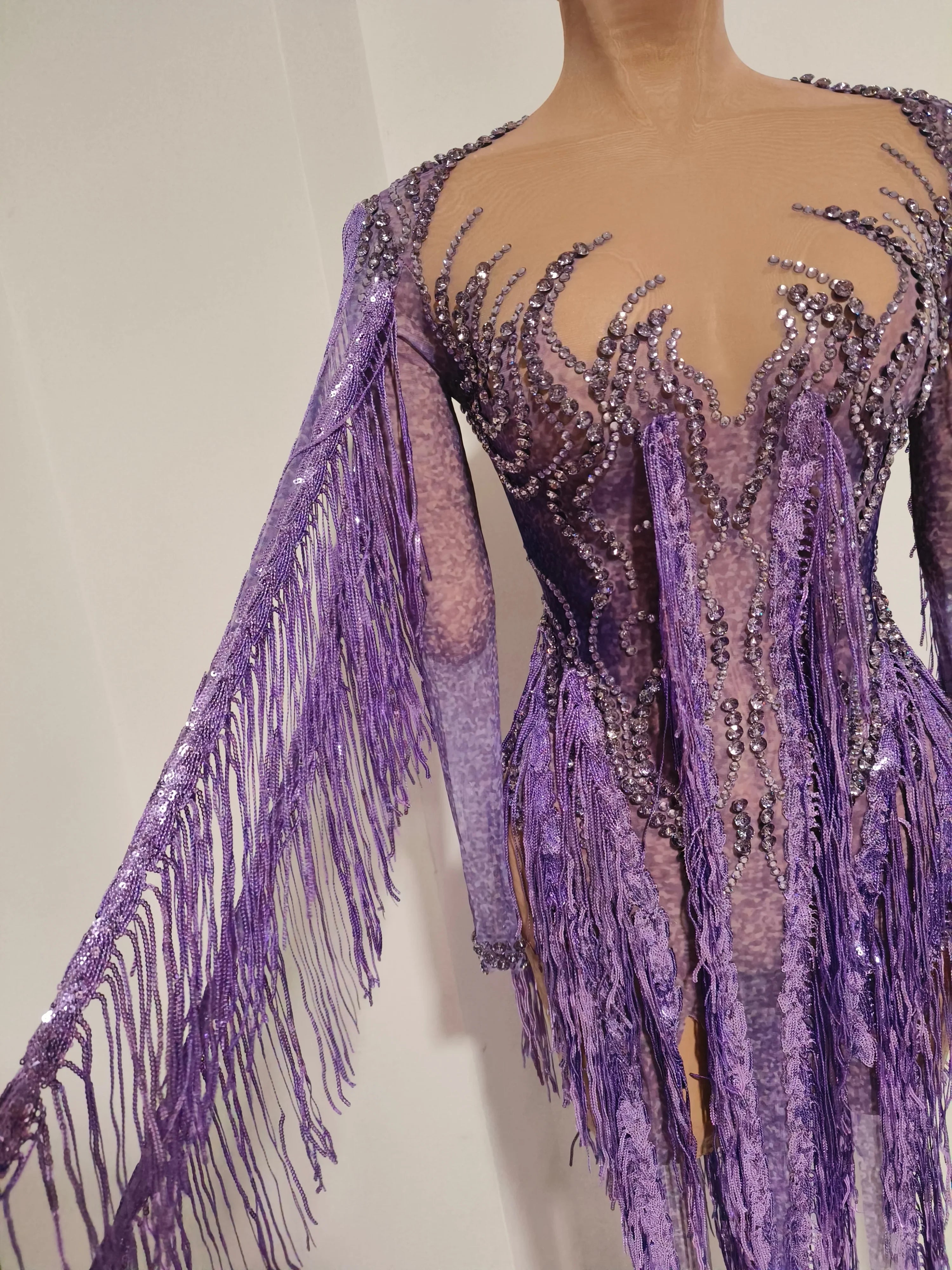 Women’s Purple Rhinestone Tassel Sheer Mesh Dress – Long Sleeve Party & Stagewear