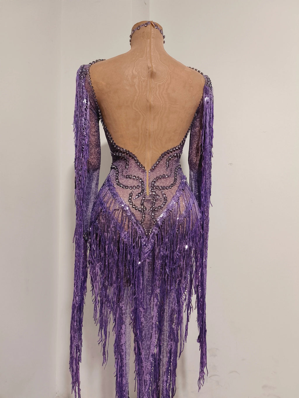 Women’s Purple Rhinestone Tassel Sheer Mesh Dress – Long Sleeve Party & Stagewear