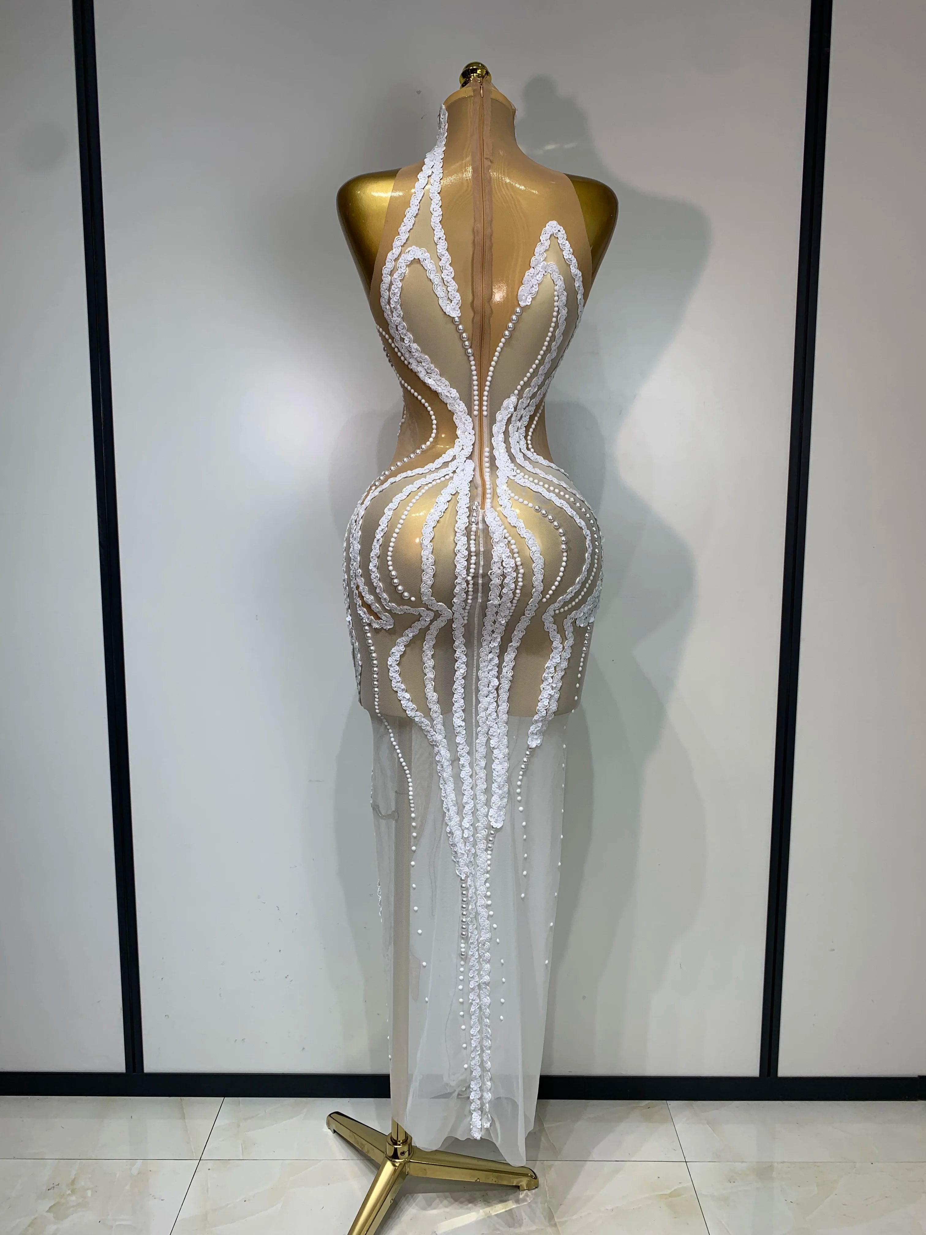 Luxury Pearl & Sequins Transparent Long Dress