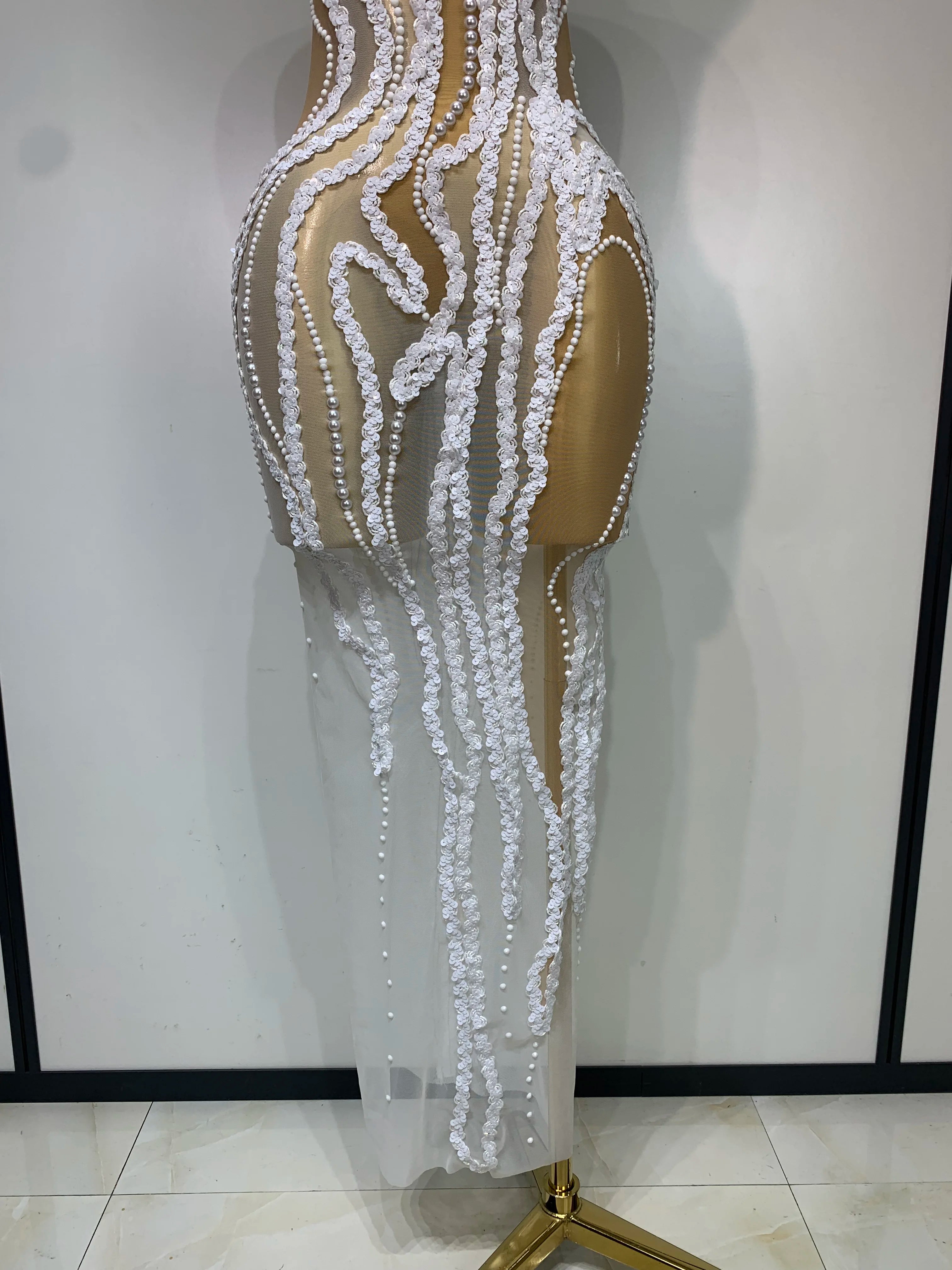 Luxury Pearl & Sequins Transparent Long Dress