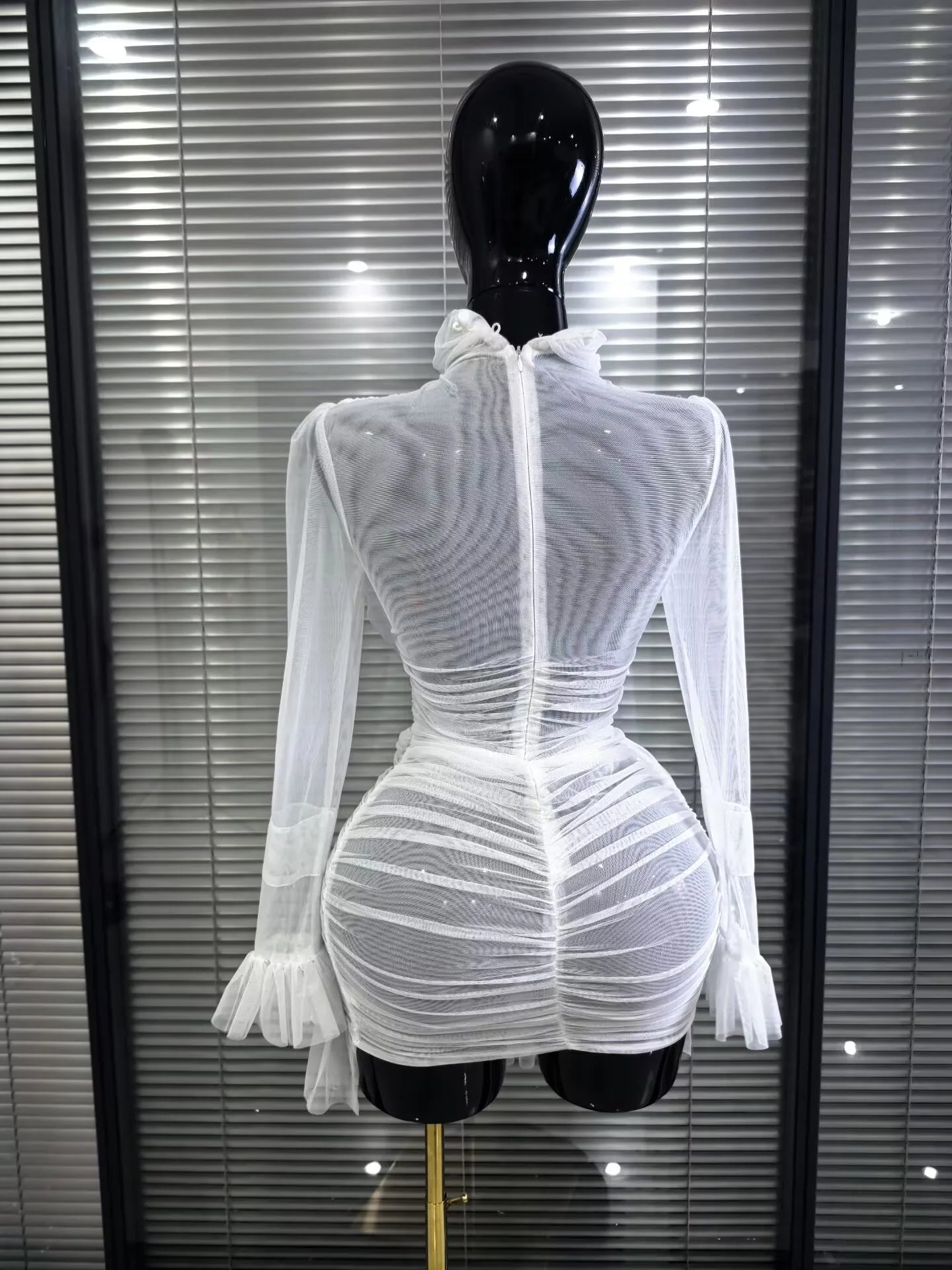 Mesh See-Through Bodycon Mini Dress