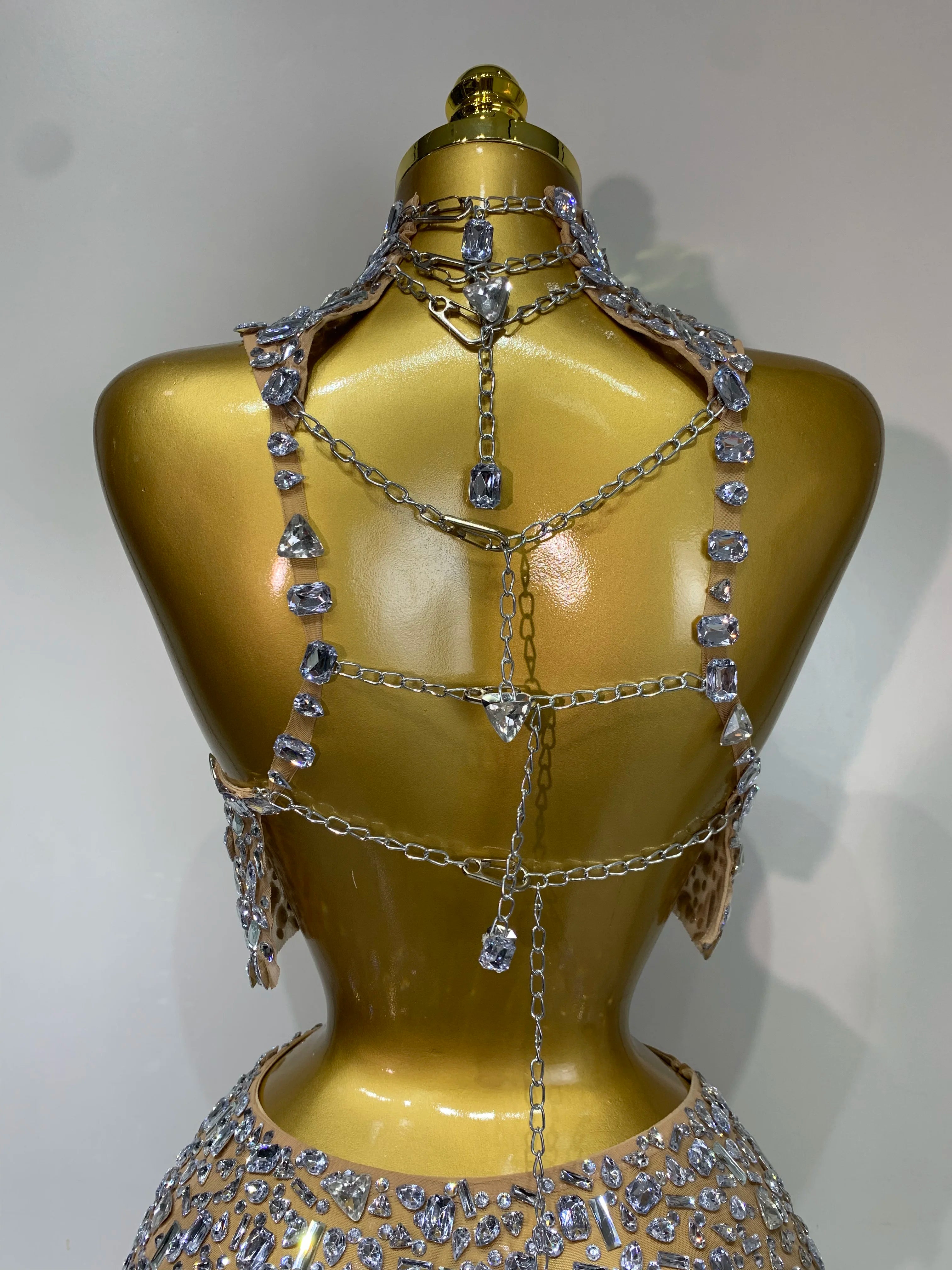 Sparkly Rhinestone Backless Top & Skirt Set
